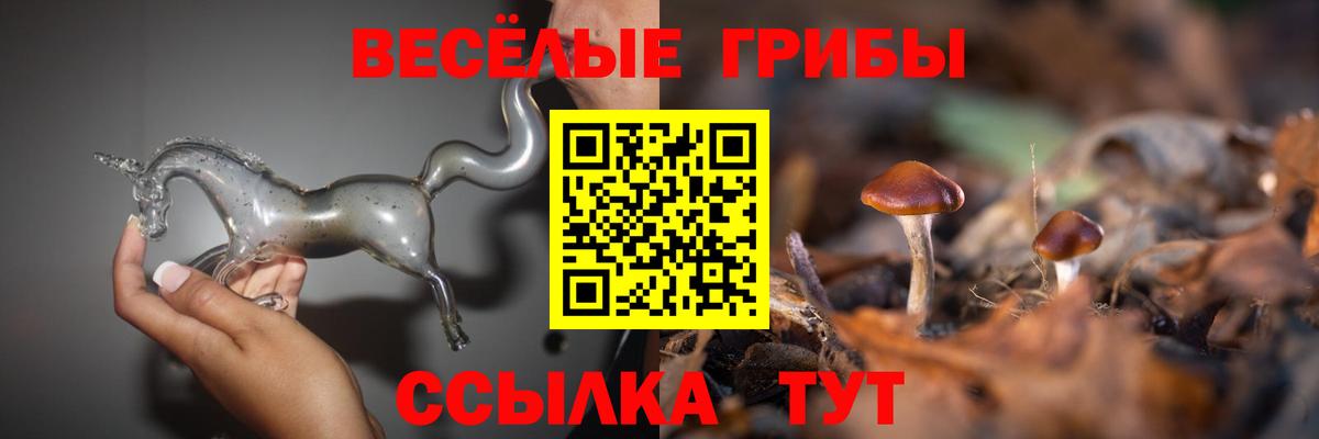 Псилоцибиновые грибы GOLDEN TEACHER Серов