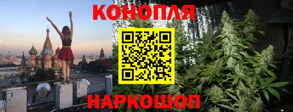 Шишки марихуана гибрид  Бошки марихуана сатива  Конопля сатива  Серов  Бошки Шишки THC 21%  Вход с VPN 