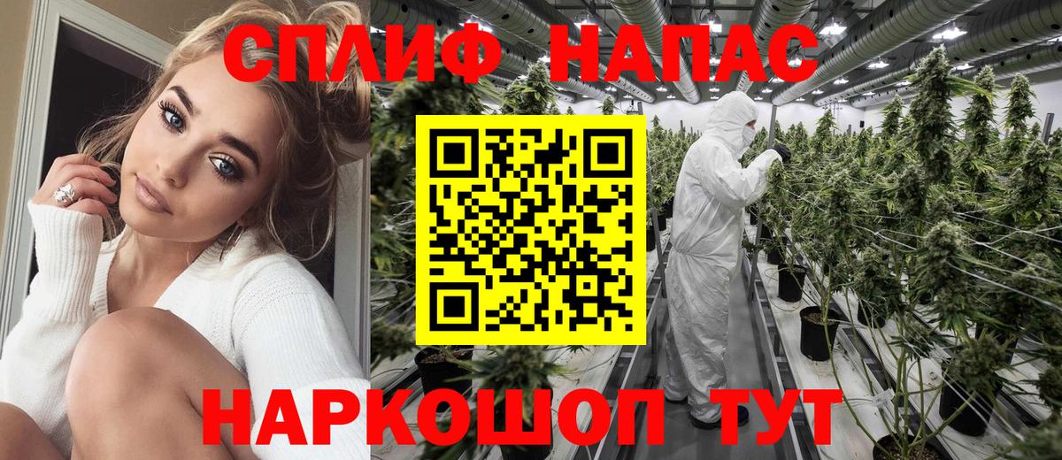 Марихуана семена  Марихуана планчик  Серов  Канабис тримм 